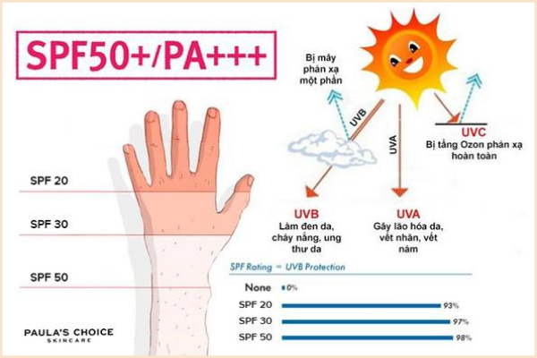 chỉ số SPF và PA trong kem chống nắng
