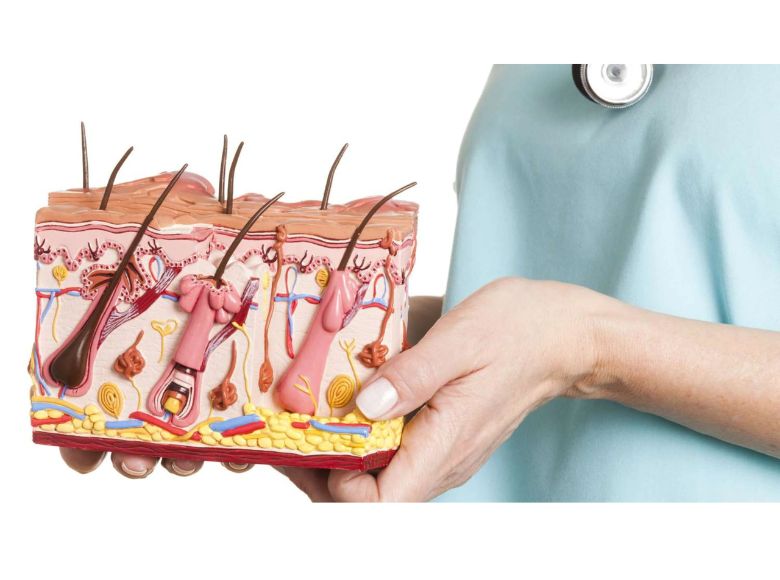 tại sao sáng ngủ dậy mặt nhiều dầu