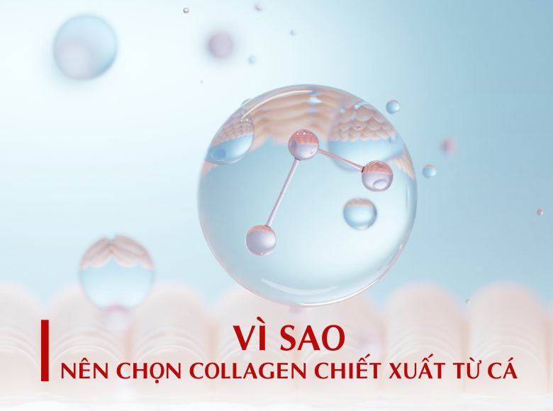 VÌ SAO NÊN CHỌN COLLAGEN CHIẾT XUẤT TỪ CÁ? ĐẶC ĐIỂM VÀ NHỮNG ƯU ĐIỂM VƯỢT TRỘI CỦA COLLAGEN CHIẾT XUẤT TỪ CÁ