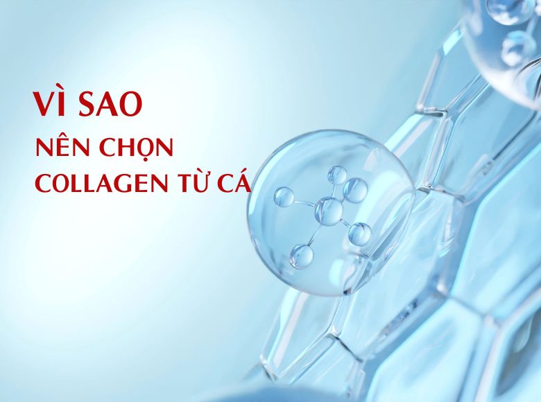 Vì sao nên chọn collagen chiết xuất từ cá